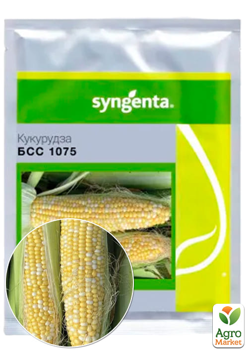 

Кукурудза БСС 1075 F1 ТМ Syngenta 5000шт