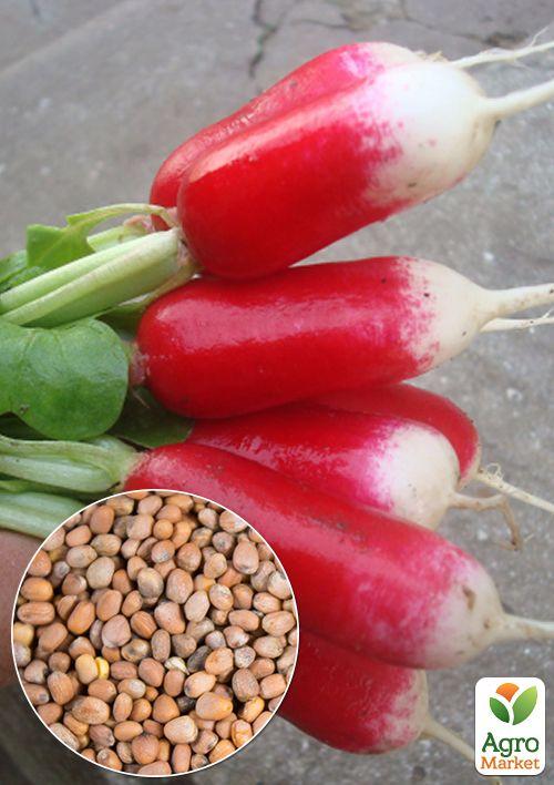 

На развес Редис Французский завтрак ТМ Весна цена за 10г