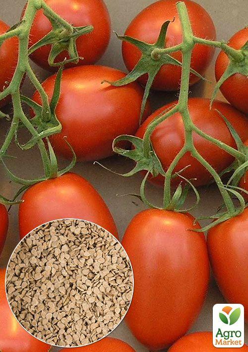 На вагу Томат "Карась" ТМ "Весна" ціна за 1г