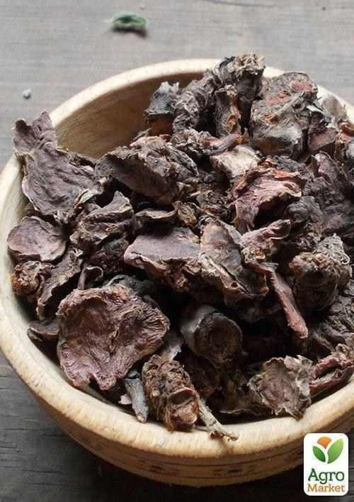 Родиола розовая, корень 50г купить почтой в Одессе, Киеве, Украине ...