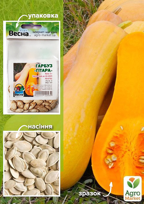 

Тыква Гитара (Зипер) ТМ Весна 5г