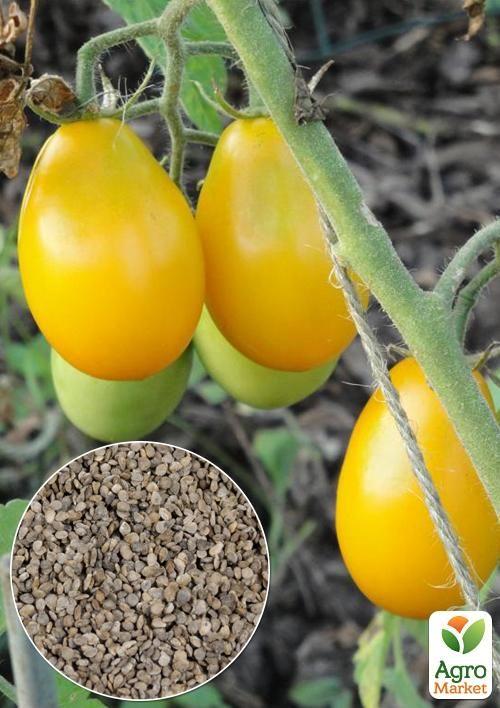 

На вагу Томат Золота краплина ТМ Весна ціна за 1г