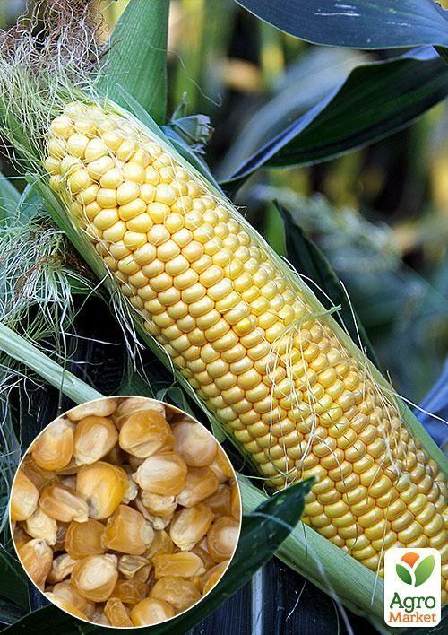 

На вагу Кукурудза Дитячий делікатес ТМ Весна ціна за 40г