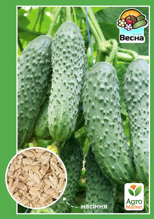 

Огірок Тітус F1 ТМ Весна 0.5г