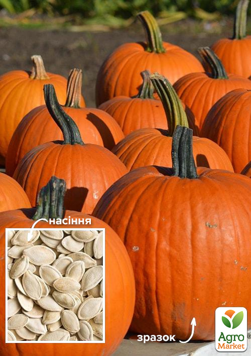 

На вагу Гарбуз Красуня ТМ Весна ціна за 10г