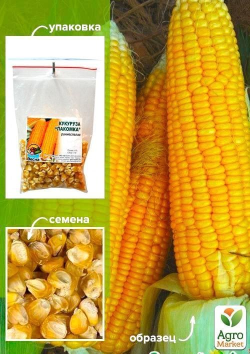 

Кукуруза Лакомка ТМ Весна 100г