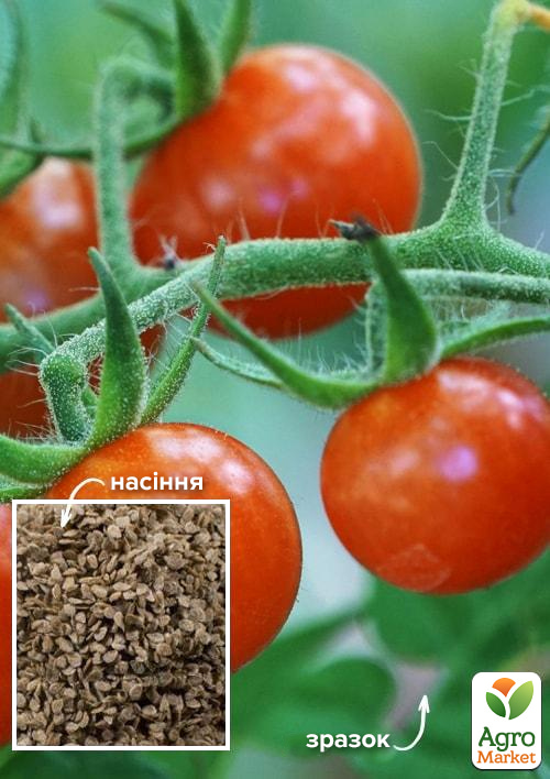 На вагу Томат "Черрі канапе" ТМ "Весна" ціна за 1г