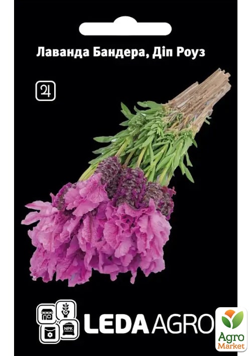 

Лаванда Бандера Діп Роуз ТМ Leda Agro 5шт