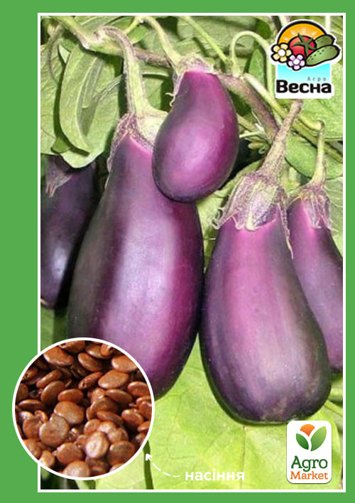 

Баклажан Робин Гуд ТМ Весна 0.2г