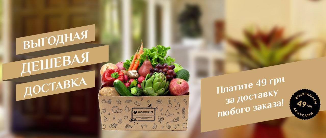 Акция! Выгодная доставка всего 49грн. Акция! Выгодная доставка всего 49грн.