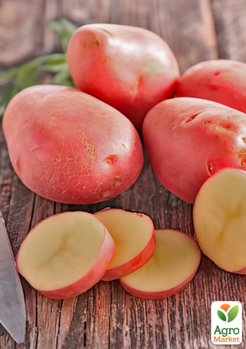 

Картофель Красавица семенной средеранний (элита) 1кг