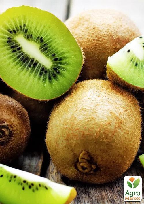 

Ексклюзив! Ківі темно-коричневий Містер Майк (Mr. Mike) (преміальний супер соковитий сорт, перехресне запилення, садити по 2шт)