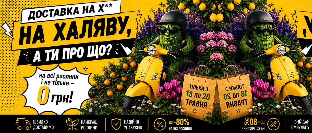 Доставка НаХаляву!