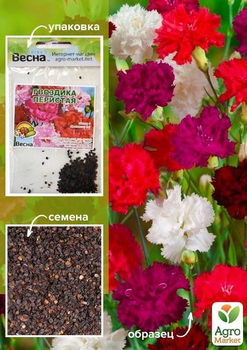 

Гвоздика Перистая смесь (Зипер) ТМ Весна 1г