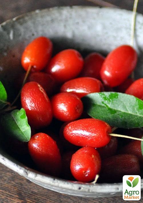 

Гумі (серебристолистий)