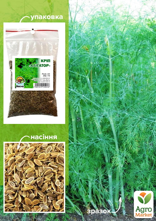 

Укроп Аллигатор ТМ Весна 100г