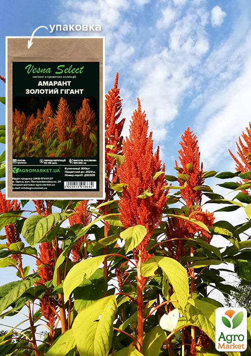 

Амарант Золотой гигант ТМ Vesna Select 300шт