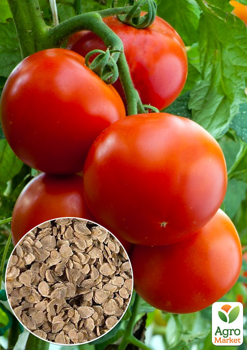 

На вагу Томат Кубанка ТМ Весна ціна за 2г