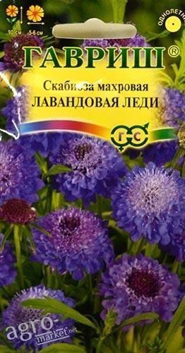 

Скабиоза махровая "Лавандовая леди" ТМ "Гавриш" 0.5г