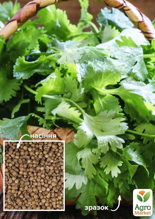 

На вагу Коріандр Бородінський ТМ Весна ціна за 20г