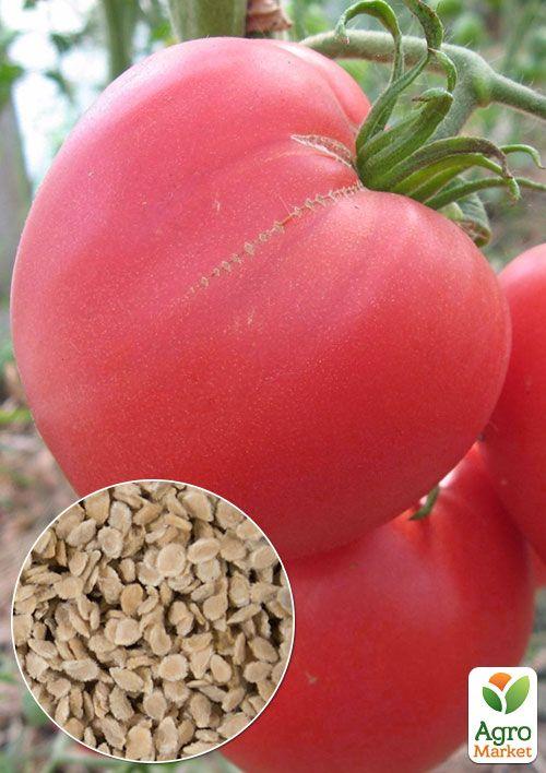 

На вагу Томат Волове серце рожеве ТМ Весна ціна за 1г