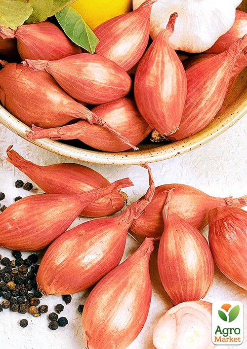 

Лук-севок 1кг (арбажейка) красный Марс (Украина)