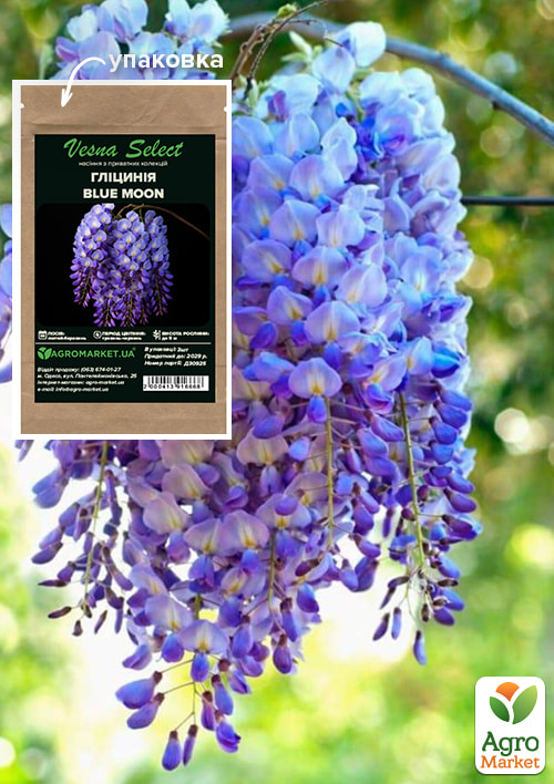 

Глициния Blue Moon ТМ Vesna Select 3шт