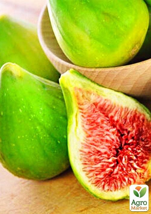 

Інжир Далматський (Турецький білий)