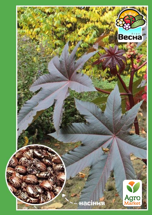 

Рицина Рицина ТМ Весна 5шт