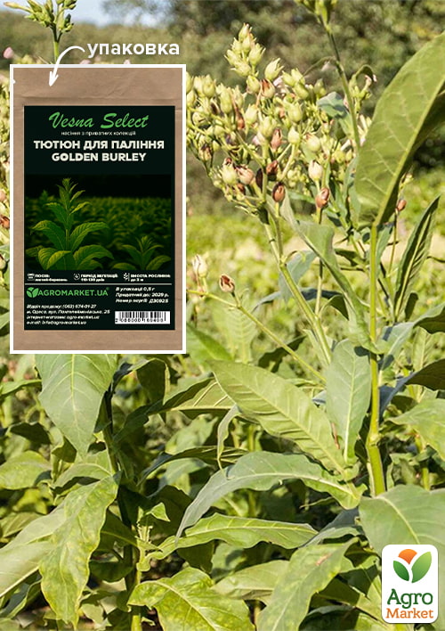 

Семена Табак курительный Golden Burley ТМ Vesna Select 0.5г