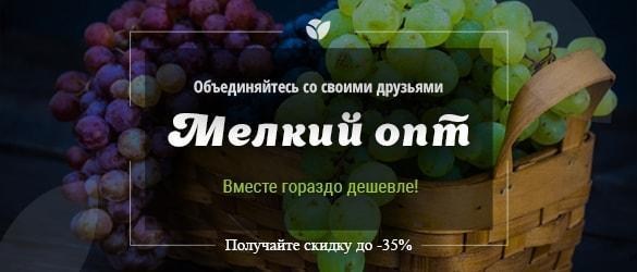 Объединяйтесь вместе со своими друзьями и получайте скидку до -35% Объединяйтесь вместе со своими друзьями и получайте скидку до -35%