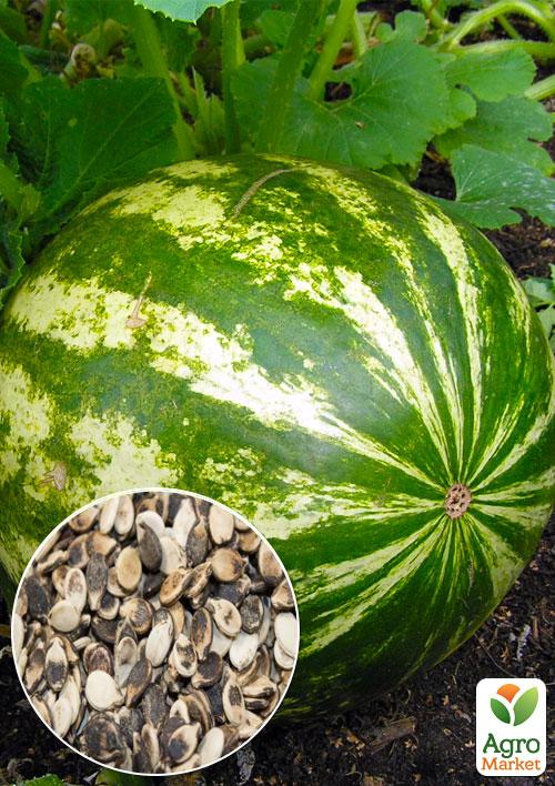 

На вагу Кавун Олігарх ТМ Весна ціна за 6г