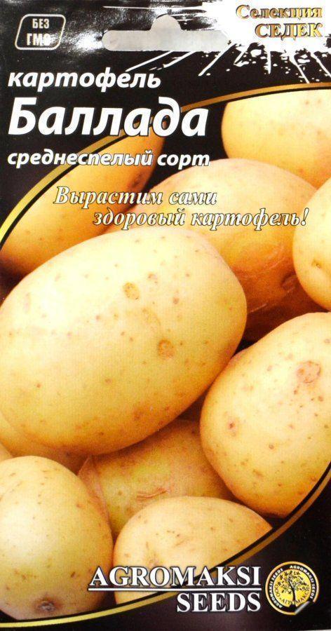 Триумф картофель характеристика отзывы. Семена картофеля пачка. Картофель Баллада. Семеноводство картофеля.