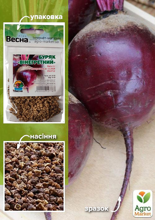 

Буряк Вінегретний (Зипер) ТМ Весна 6г