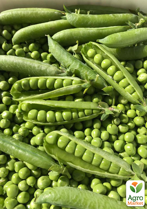 

Комплект насіння гороху Мрія дачника 5уп