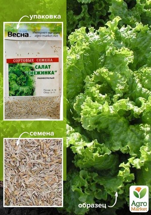 

Салат Снежинка (Зипер) ТМ Весна 3г
