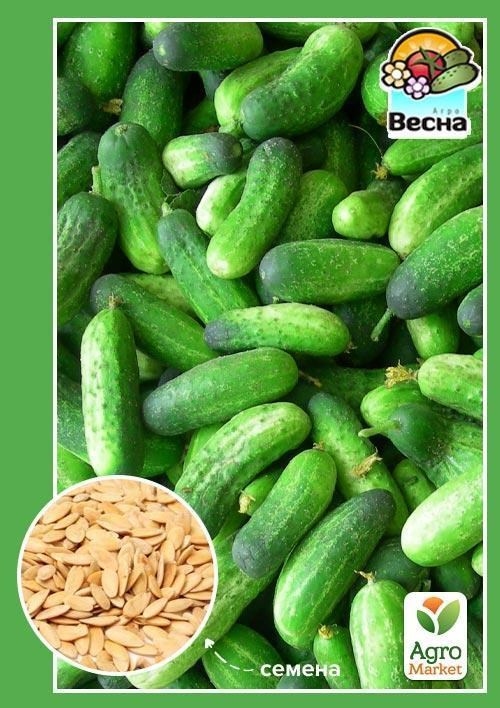 

Огурец Бочковой F1 (Новый пакет) ТМ Весна 0.25г