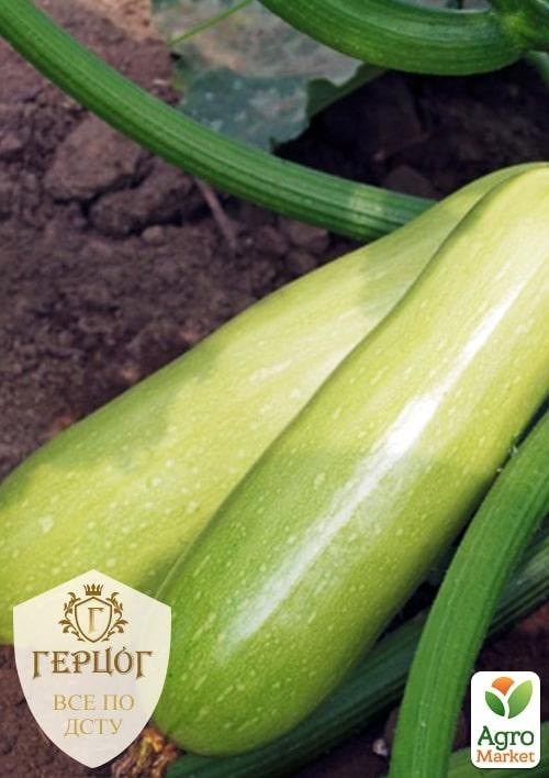 

Кабачок "Герцог" "Чаклун" ТМ "Весна" 5г