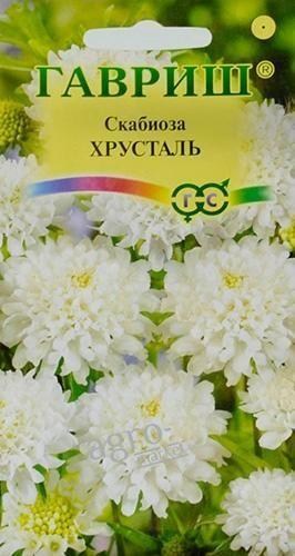 

Скабиоза "Хрусталь" ТМ "Гавриш" 0.5г