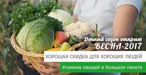 Избранные семена овощей в большом пакете со скидкой Избранные семена овощей в большом пакете со скидкой