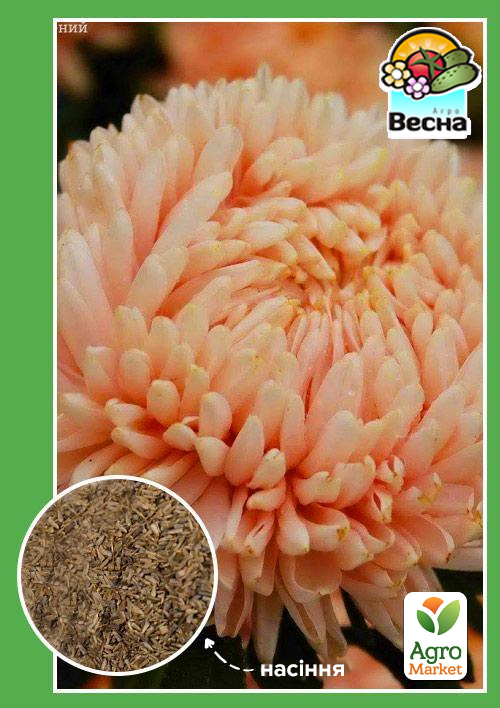 

Астра Королевский размер лососевая ТМ Весна 0.2г