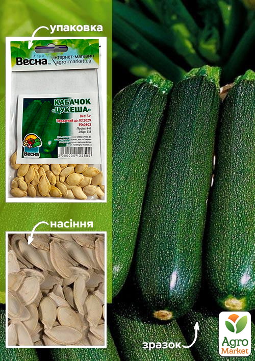 

Кабачок Цукеша (Зипер) ТМ Весна 5г