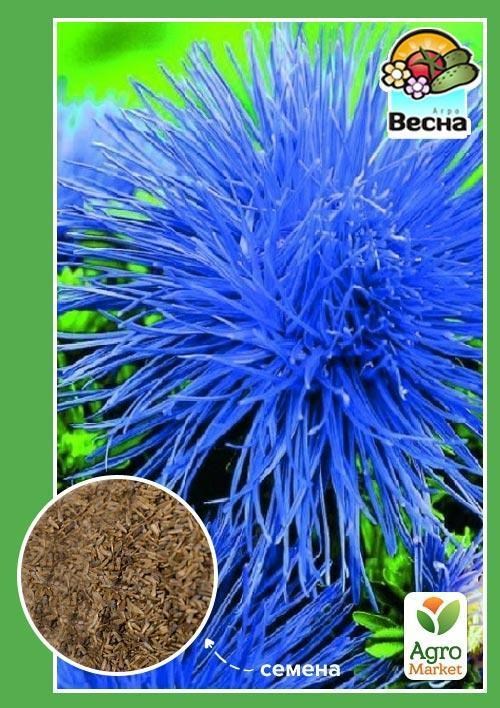 

Астра Игольчатая голубая ТМ Весна 0.2г