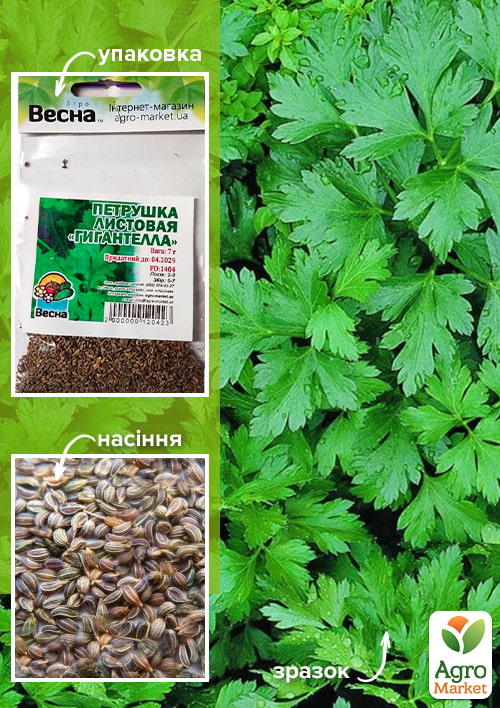 

Петрушка листовая Гігантелла (Зипер) ТМ Весна 7г