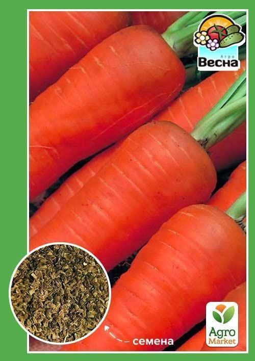 

Морковь Амстердамская ТМ Весна 2г
