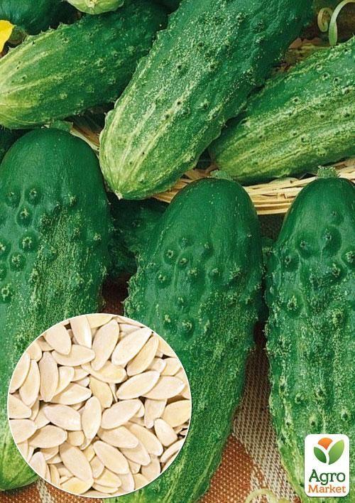 

На вагу Огірок Самородок F1 ТМ Весна ціна за 4г