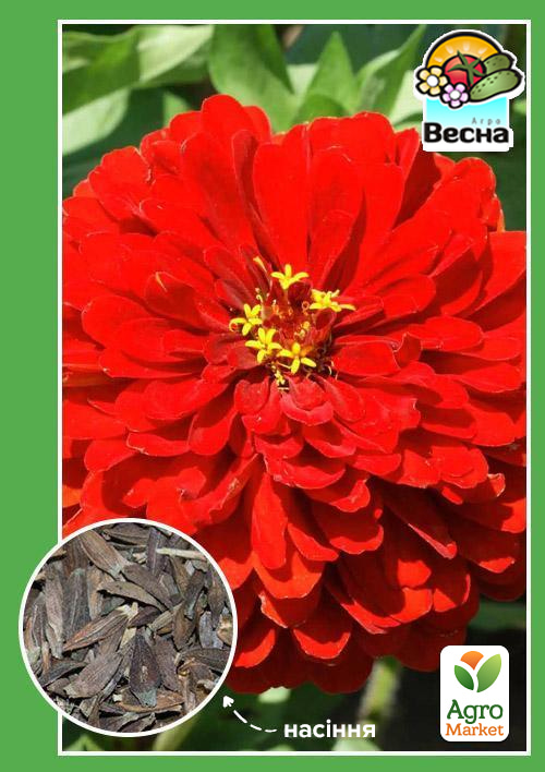 

Цинія Полум'я ТМ Весна 0.4г