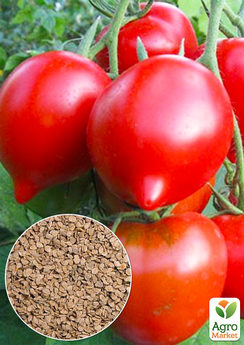 

На вагу Томат Примадонна F1 ТМ Весна ціна за 1г