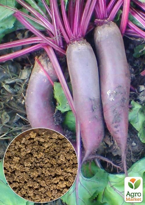 

На развес Свекла Рокет ТМ Весна цена за 10г