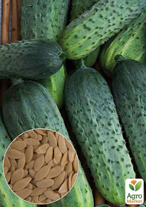 

На развес Огурец Лилипут ТМ Весна цена за 2г